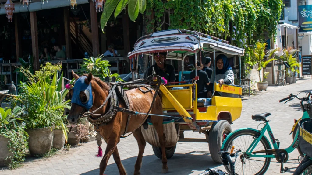 Island transport cidomo services near Gili Air Port for easy travel around Gili Air.